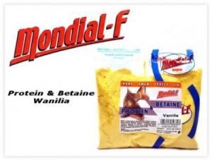 Protein &amp; Betaine Wanille Aromat Mondial-f 250g