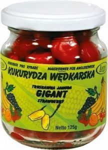 KUKURYDZA GIGANT AROMATYZOWANA BARWIONA WANILIA - NATURALNA 125g